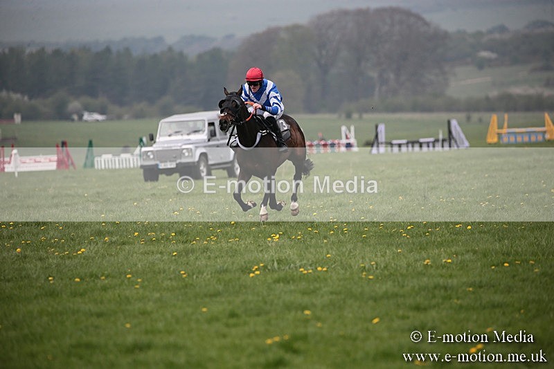 PtP 210418 88 - South & West Wilts Point-to-Point Larkhill 21/04/18