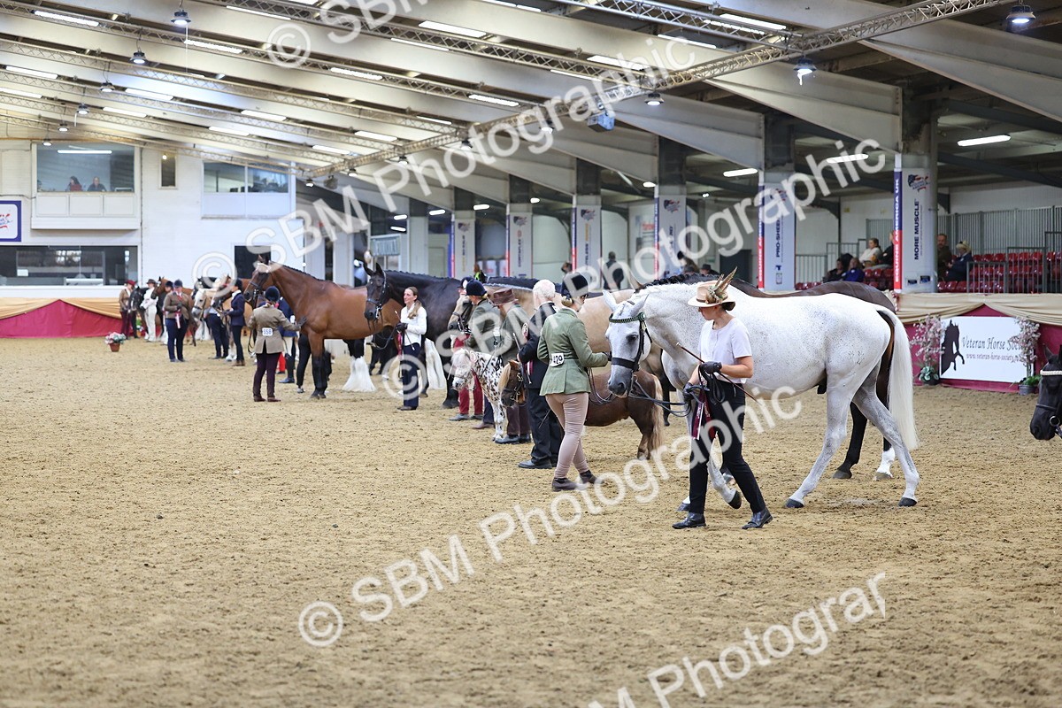 SBM_21186 - Class 902 - Supreme Final IH Veteran
