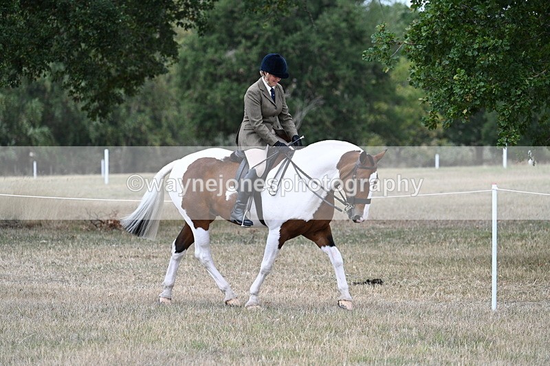 WJ7_4827 - Class 12 Ridden Cob