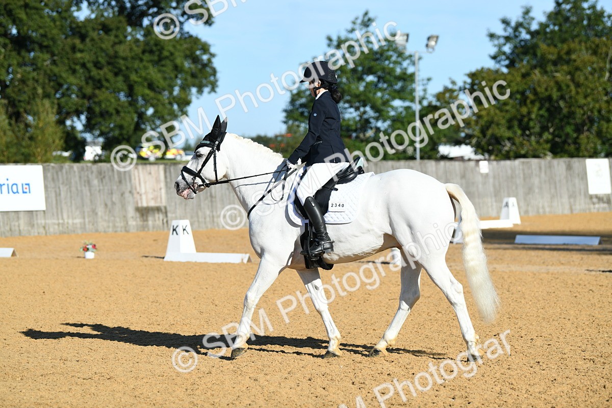 SBM_16126 - D4 - Small Tour Championship - Intro B