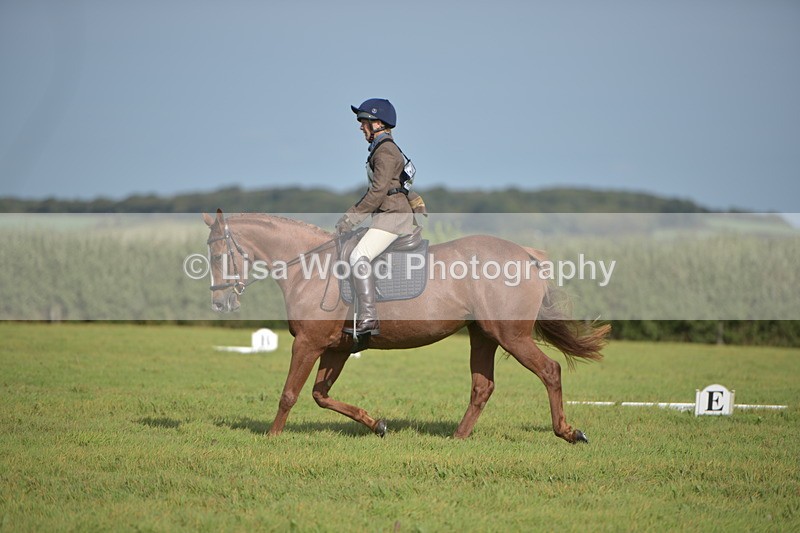 RAY_7839 - Class 2B: Trekenning Open: Dressage