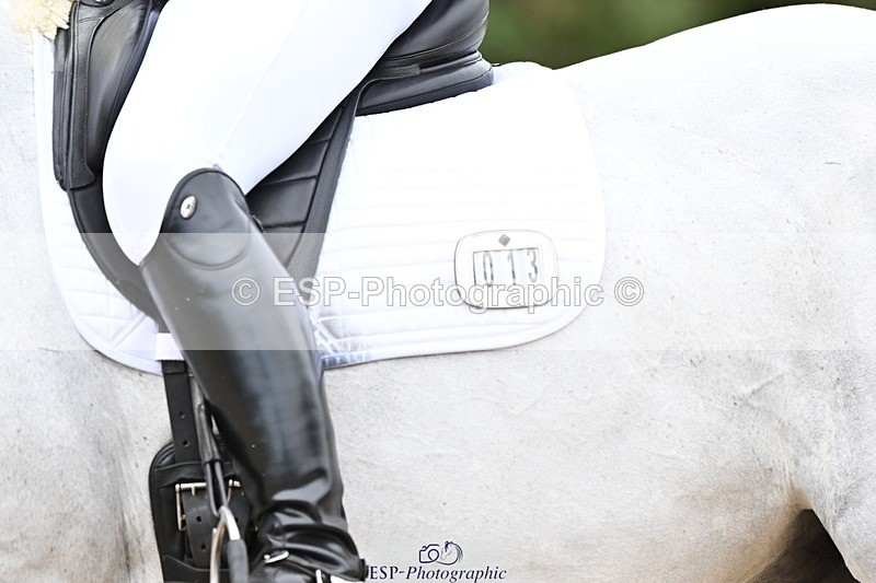 250808A-102047-00273 - 013-Stacey.Blunn-Diamond.Bobby