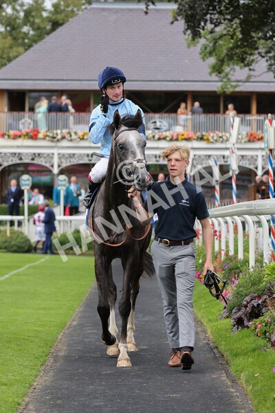 yr19082021r5-36 - Race 5 4.10pm OR8wellness ebfstallions Nursery Handicap