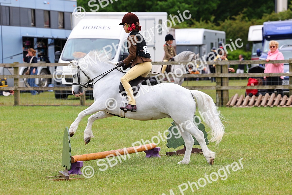 SBM_08723 - Class 42-43 - LIHS BSPS Heritage Working Sports Pony
