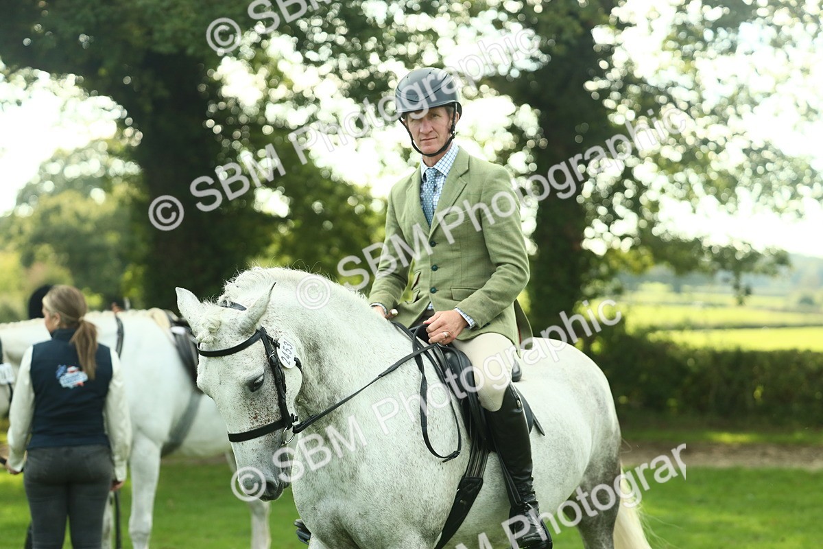 SBM_52112 - S33 - Working Hunter & Working Show Horse