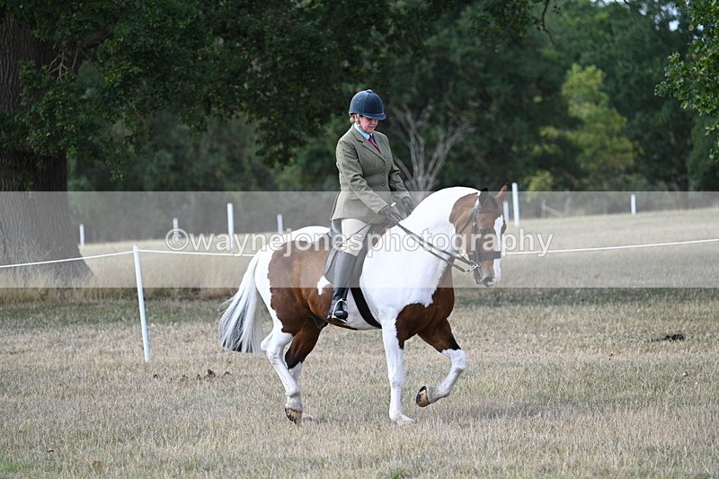 WJ7_6843 - Class 14 Ridden Coloured