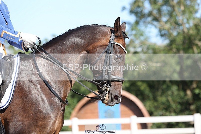 240816A-101824-02868 - 201-Natasha.Collings-Costello-Dovevale.Tender.Dove