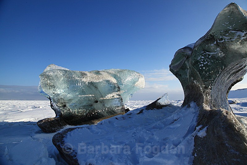 Ice - Latest Photos