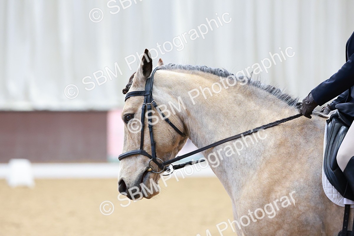 0B8A4155 - Class 3-6-9 - Prel Nov Ele - FSM