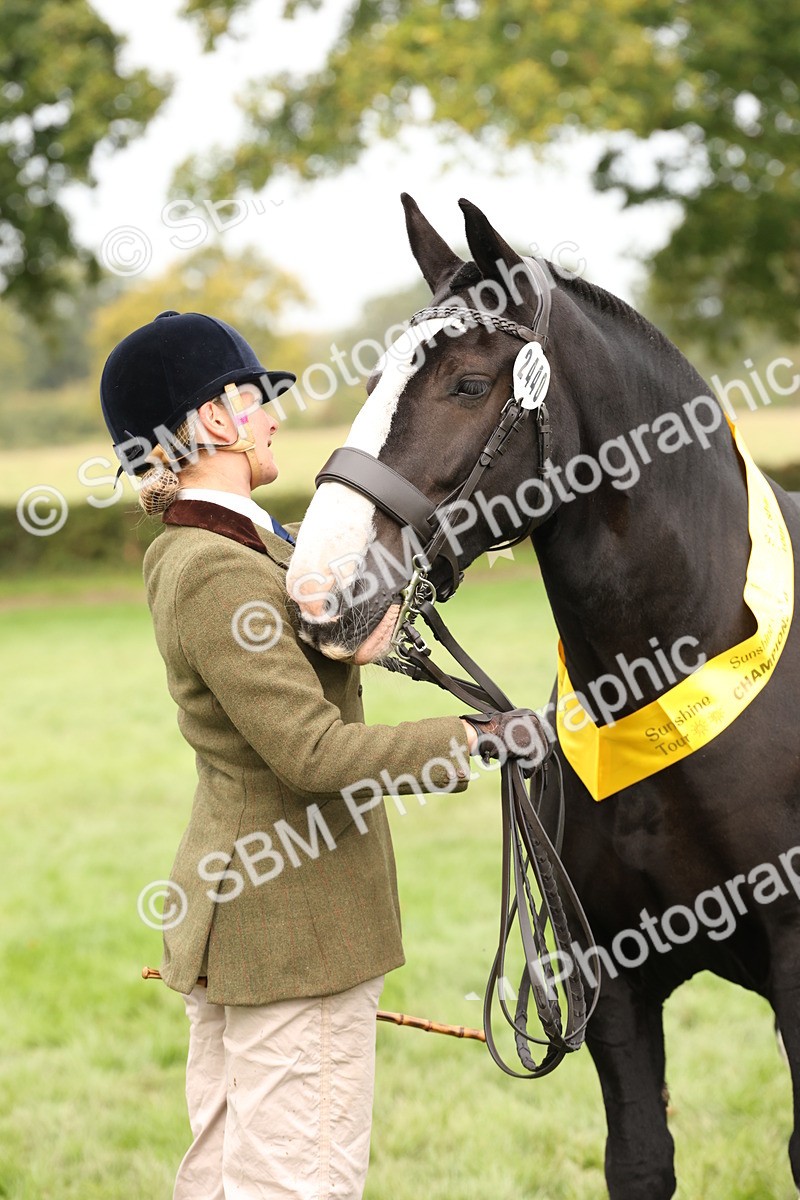 SBM_57532 - S56 - Show Cob in Hand