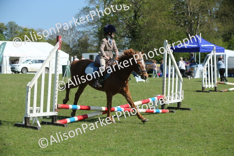 20250427-1942 - Class 2 - Mini Jumping 30cm