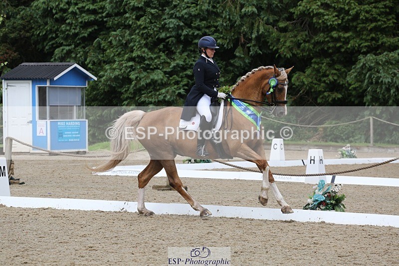 240720-155106-06756 - Cls 9 FEI Inter I BRONZE