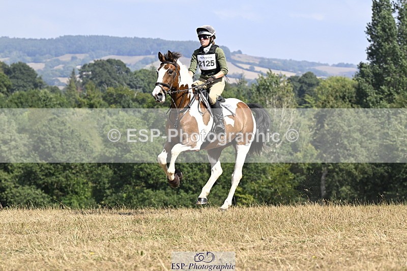 250824A-144020-38052 - 2125-Hen.Jeanes-Painted.proper