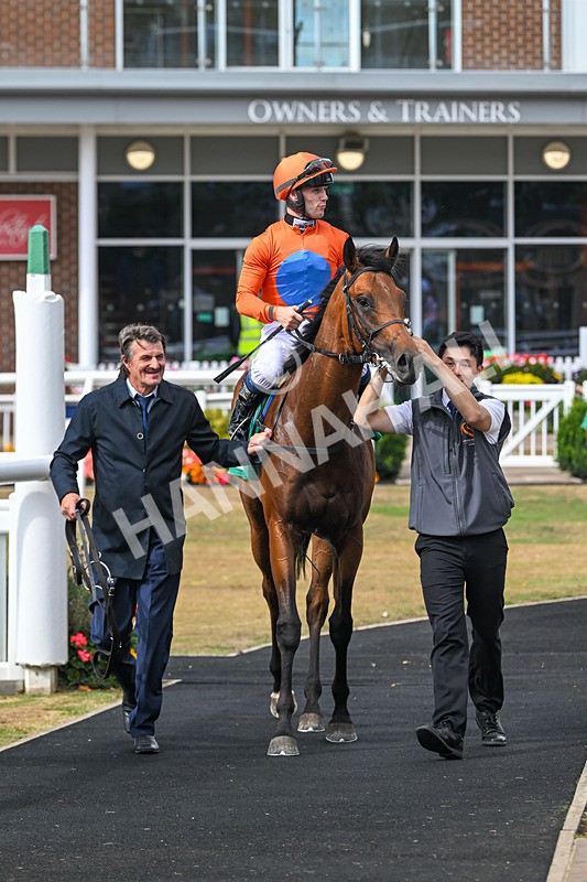 290825-Race 3-Be The Standard-8691 - Race 3