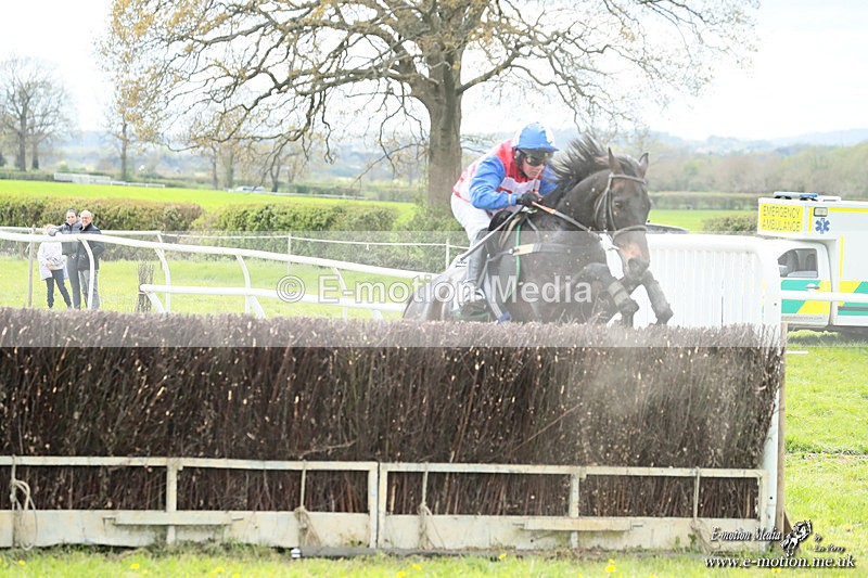 PtP 180426 333 - Worcestershire Hunt PtP Chaddesley Corbett 18/04/26