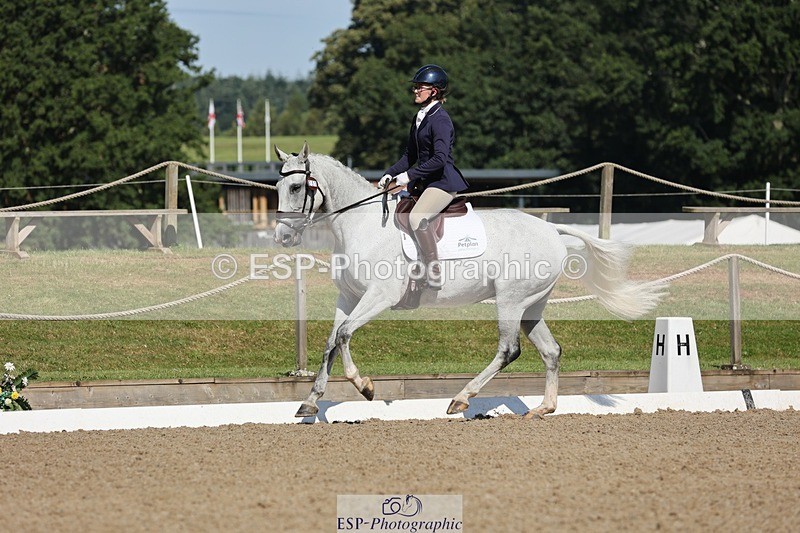 240719-095541-00298 - 251-Letitia_Pickles-Calypso's_Pride