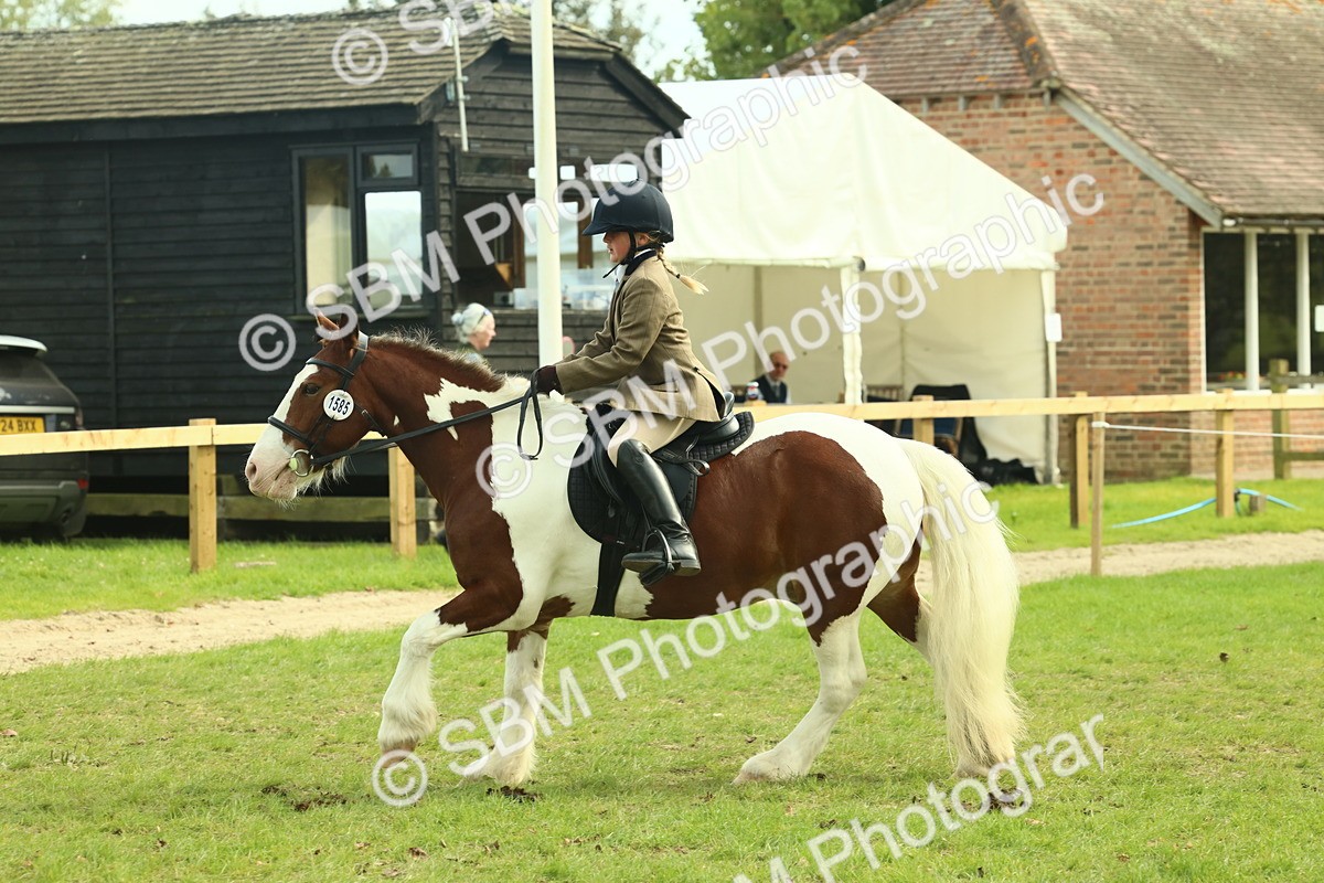 SBM_68237 - S58 - Mini Show Cob Ridden