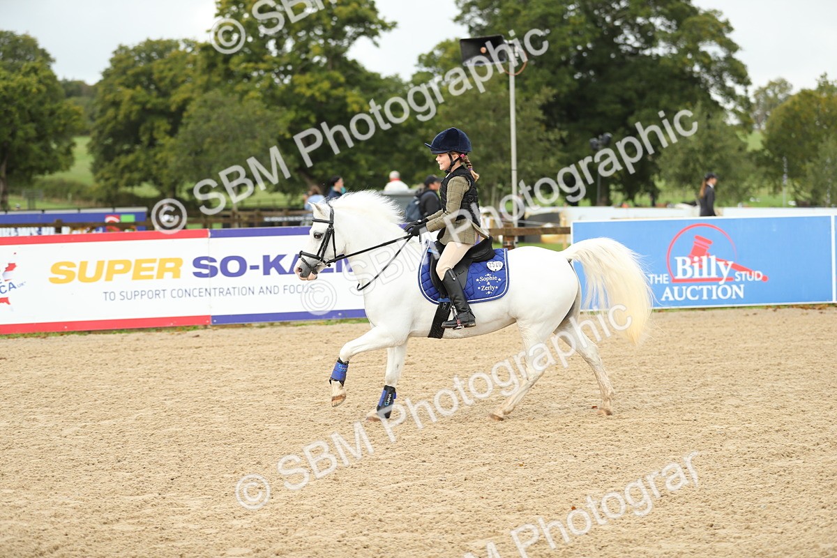 SBM_34187 - J60 Clear Round 50cm