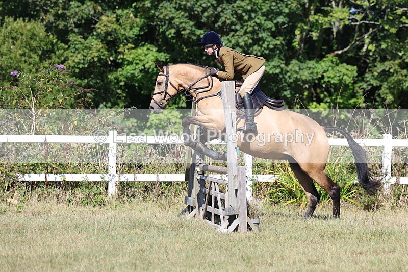 3E7A5789 - Class 5: Working Hunter 90cm