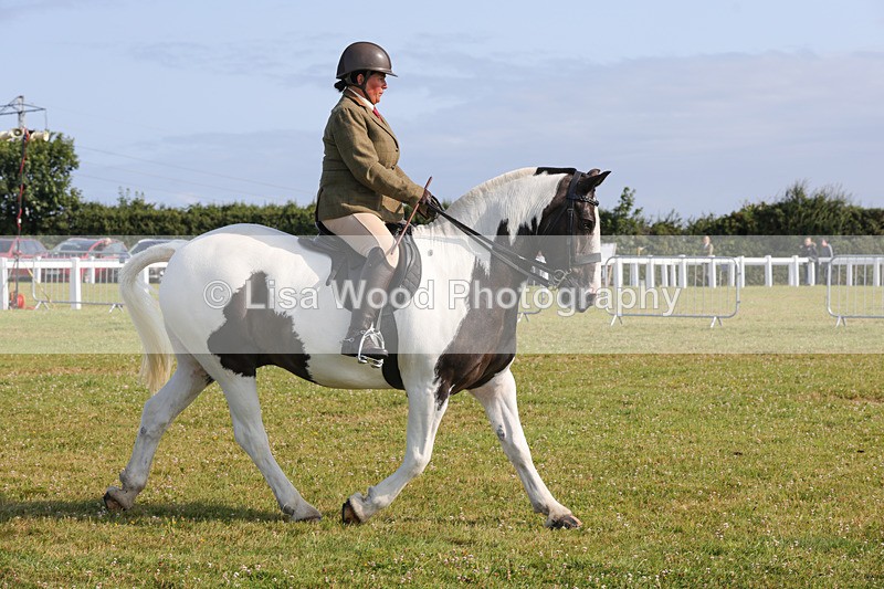 1X9A3331 - Class 28: Ridden Native/Trad Coloured Pony
