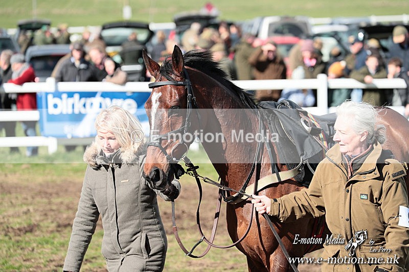 PtP 230324 641 - Tedworth Hunt PtP Larkhill Raccourse 23rd March 2024
