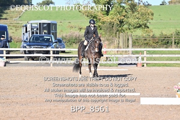 BPP_8561 - SHORT ARENA