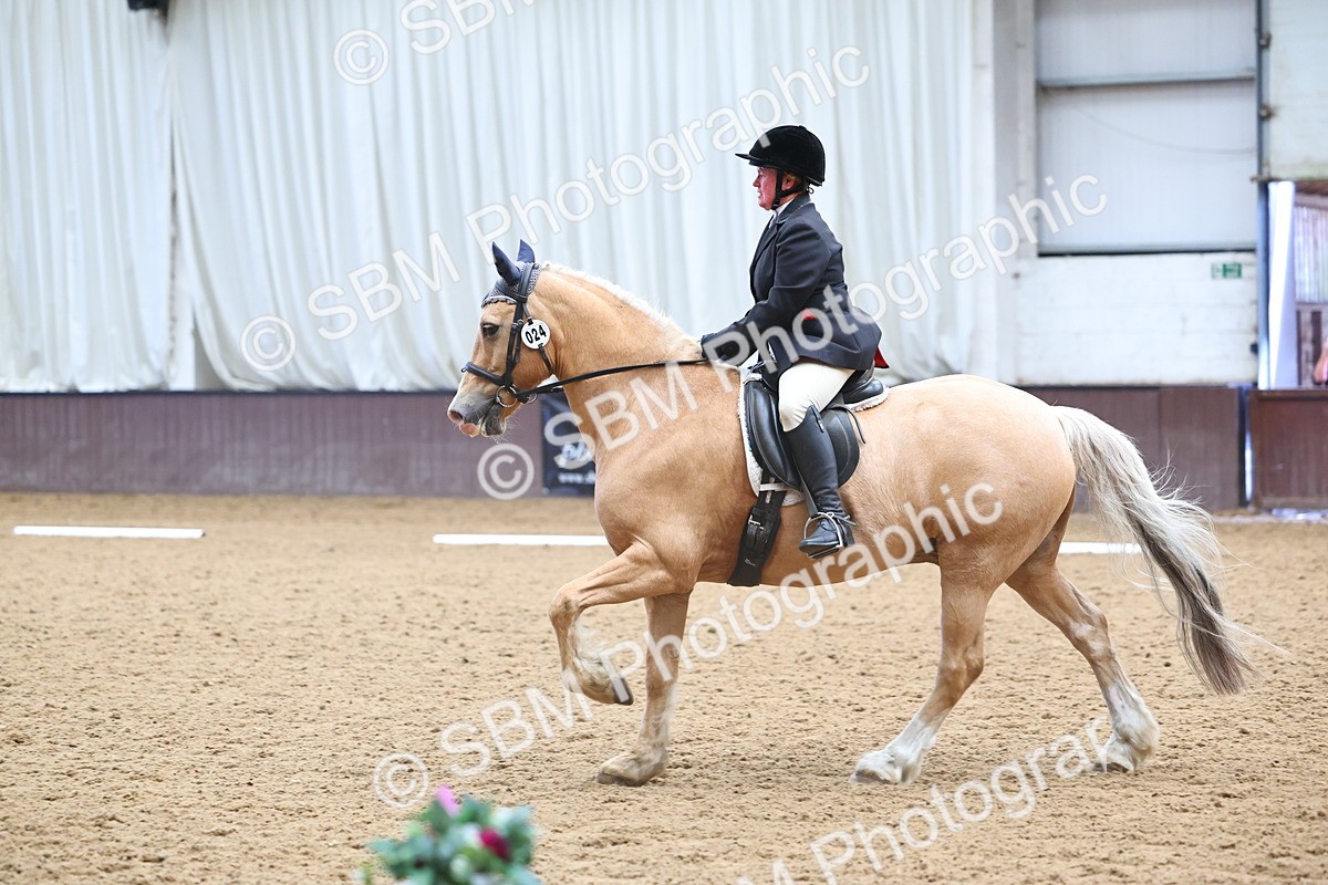 SBM_005411 - Class 3 - Novice 5