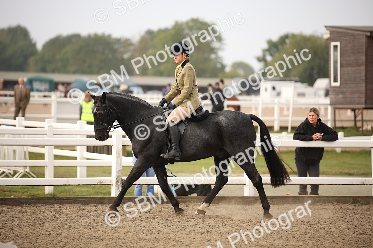 SBM_09769 - Class 401 Riding Club Pony