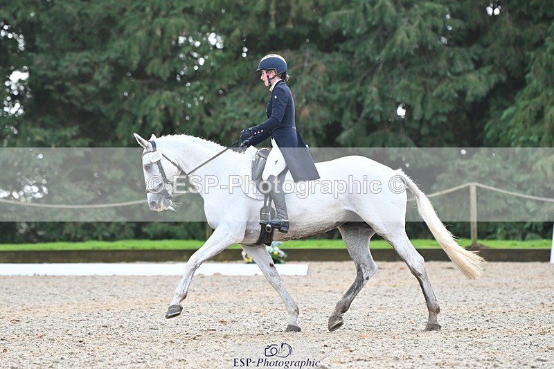 231019-123109-03120 - 114-LATINA'S.TWINKELING-Pippa.Haslam-DR