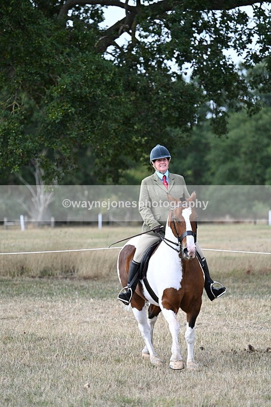 WJ7_7224 - Class 14 Ridden Coloured