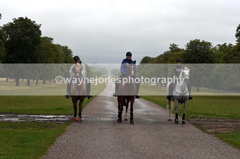 TT3_8314 - Time at Crossing 10:16 to 11:38