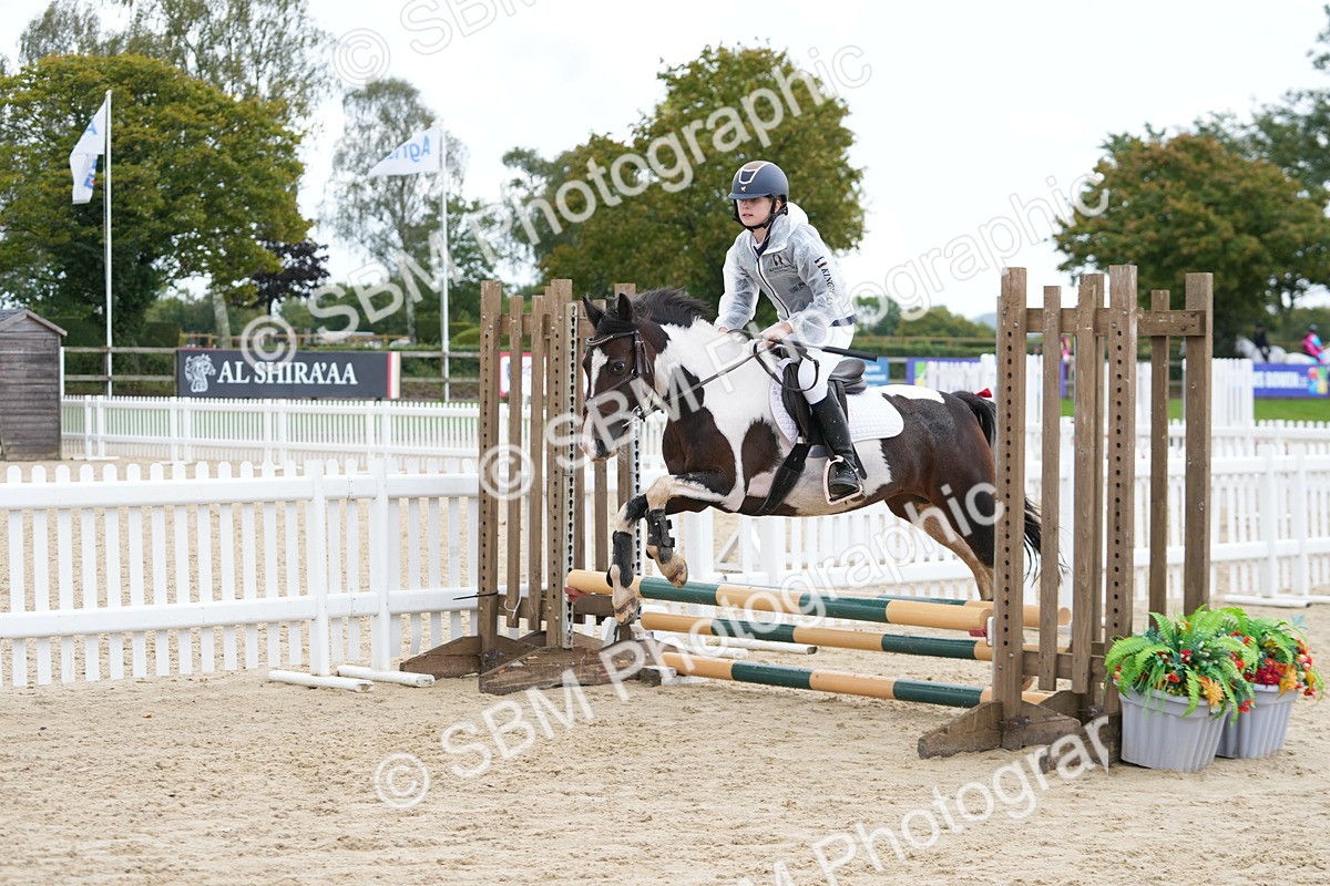 SBM_40700 - Supreme Championship Pony 50-55cm