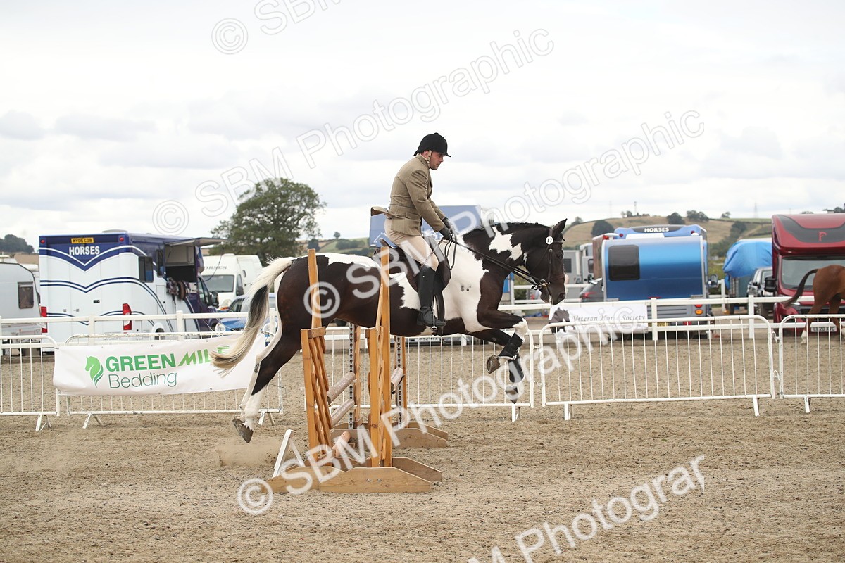 SBM_18289 - Class 509a - Working Veteran - 80cm (15-19)