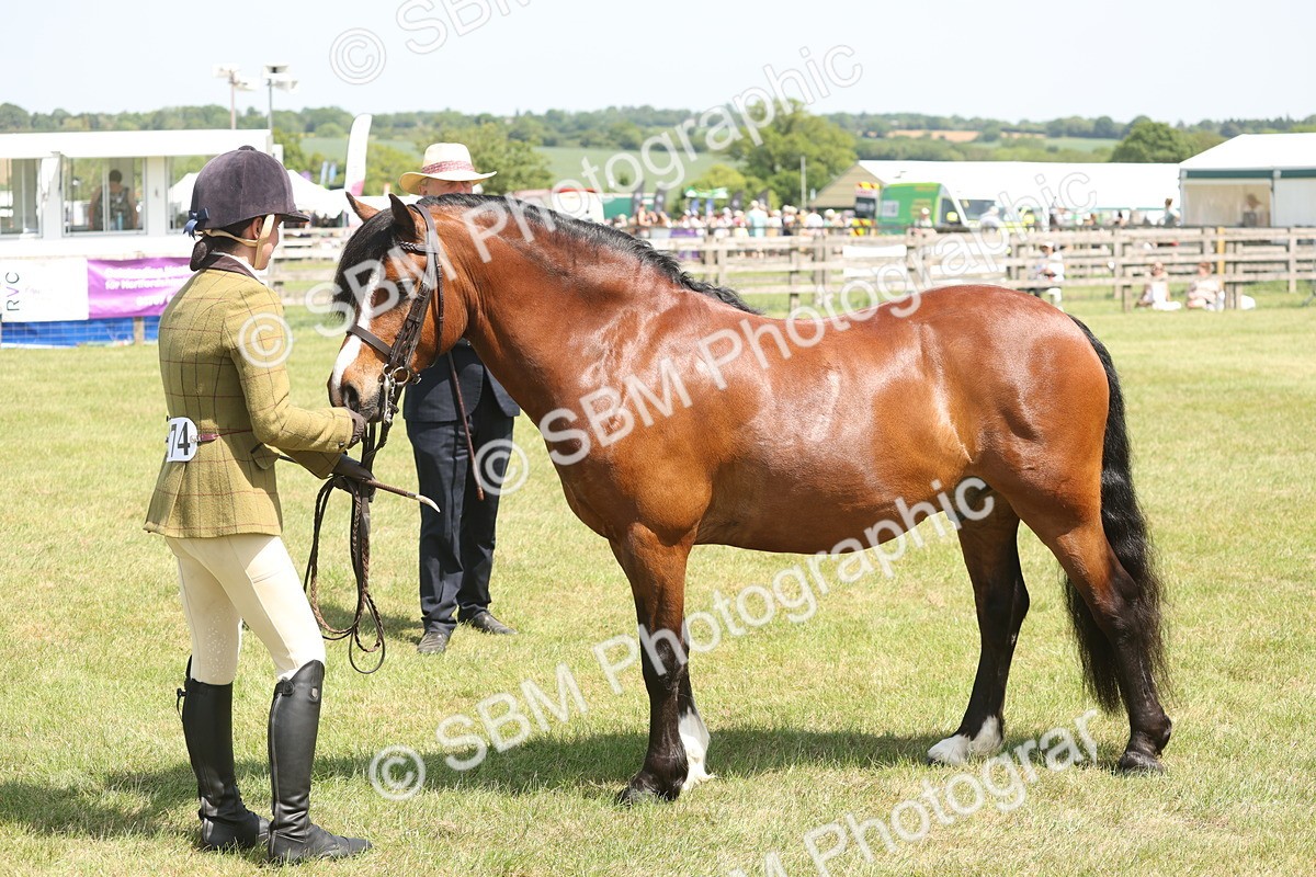 SBM_06979 - Class 26-30 - Mountain and Moorland Ridden