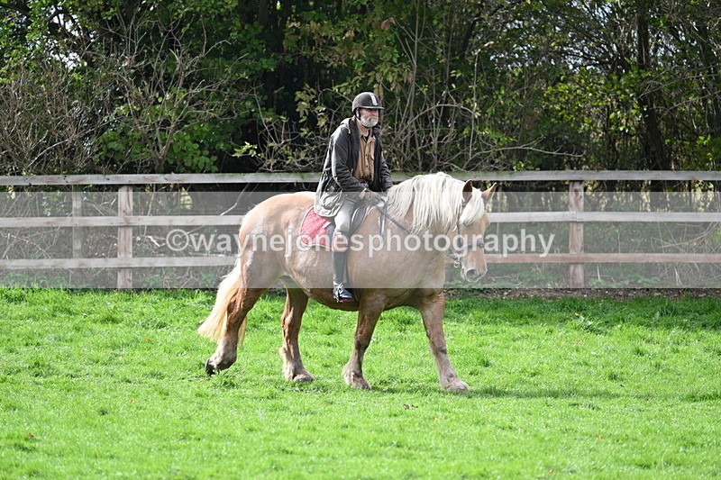 WJ7_9298 - Time 12:55 to 13:13