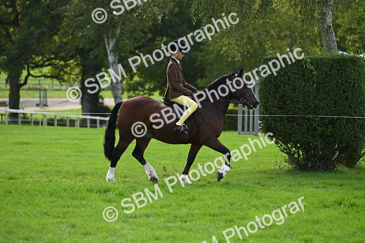 SBM_02596 - S3 - TSR Ridden Pony Showing