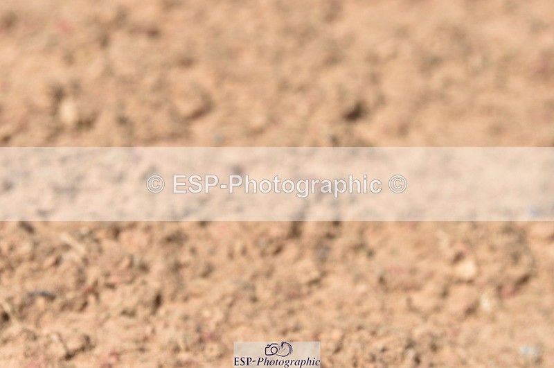 230810A-112620-00868 - Cls 9 Foxhunter