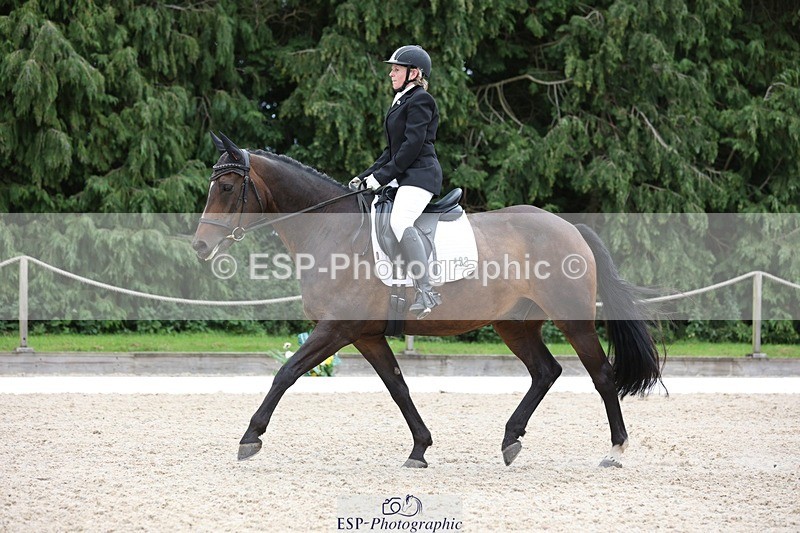 230813-145055-07891 - Cls 11 Elem Bronze 14.30 to End