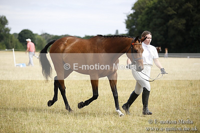 _C7A9638 - BVRC Sow 2018 Ring 2