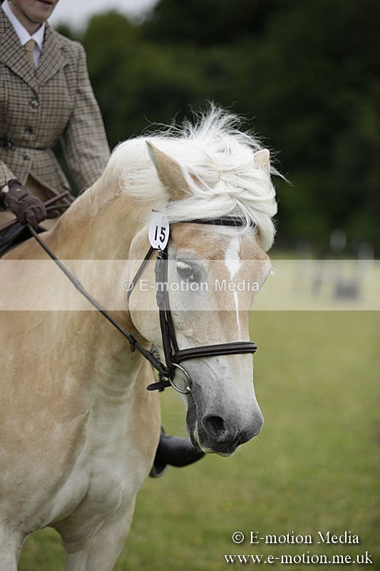 BVR160717-1526 - Ring 1 BVRC Show 16/07/17