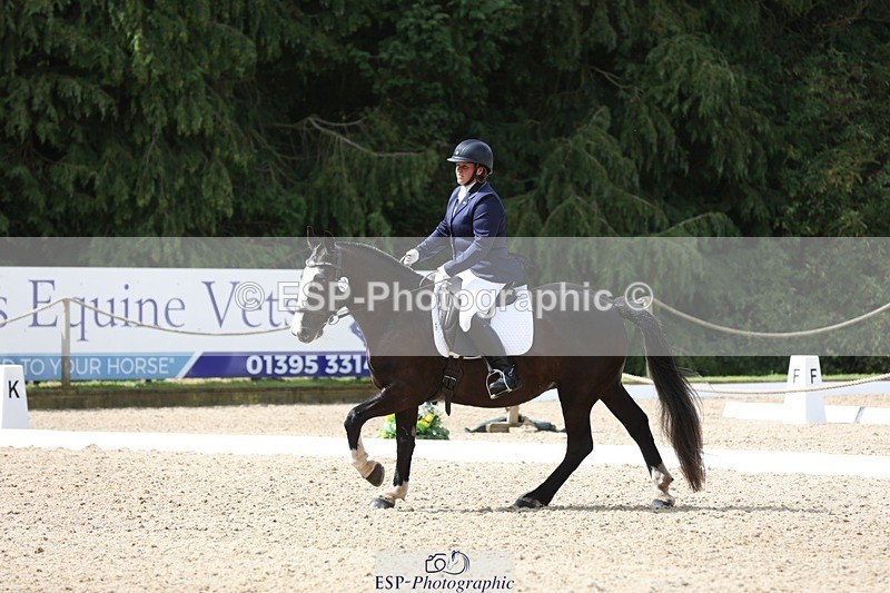 230812-111852-03735 - Cls 5 Novice Bronze 11.15 to 12.50 break