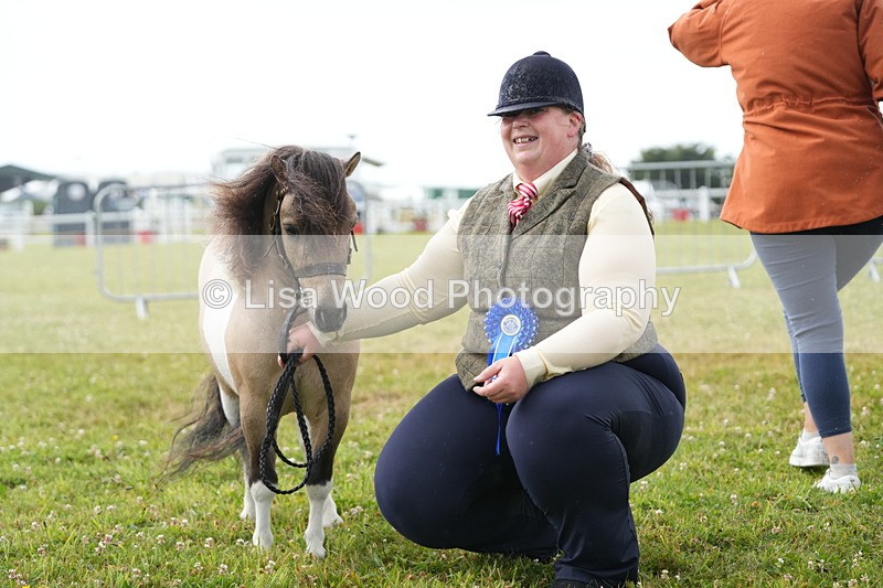 DSC04650 - Class 46: NPS Shetland Youngstock