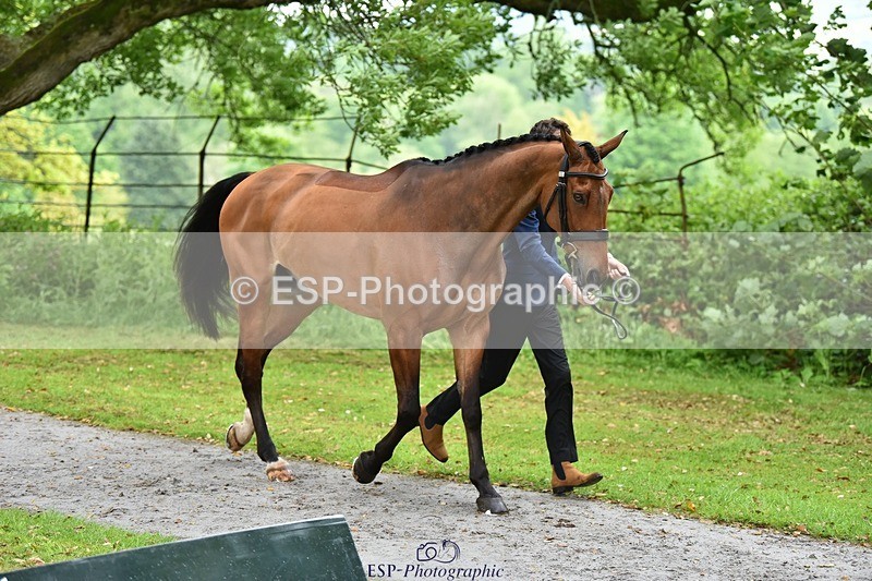 240522-160156-00661 - 115-THIS_ONES_ON_YOU-Joshua_Levett