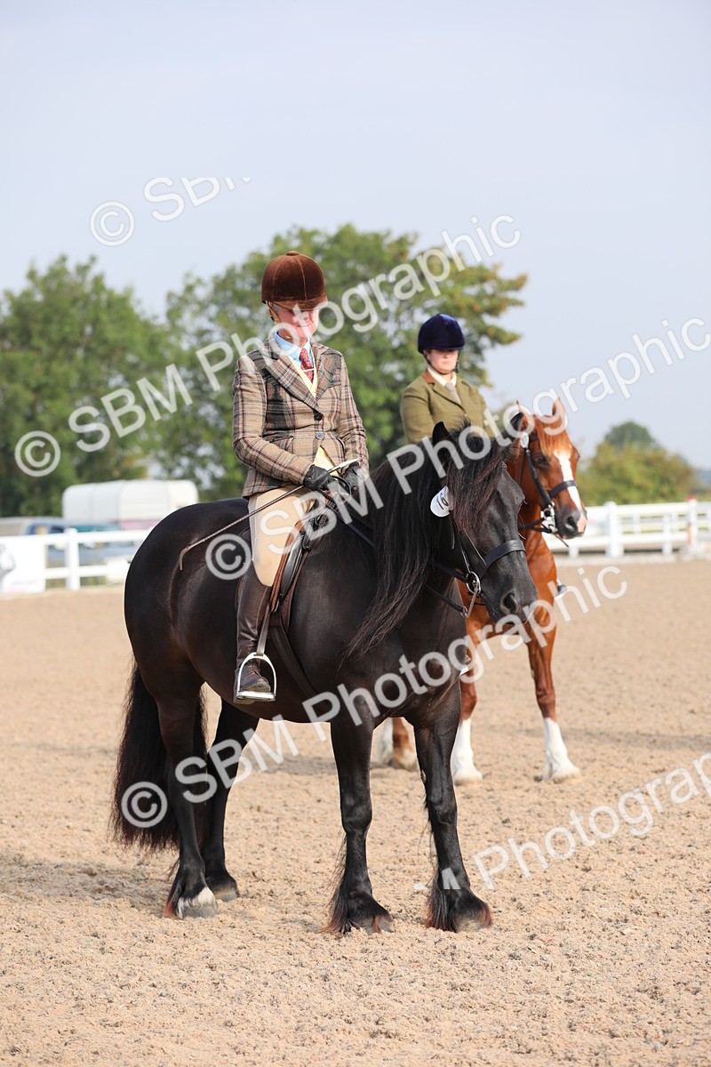 SBM_10129 - Class 302 Ridden M&M -Large Breeds