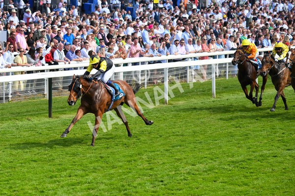 270523-Race 5-Starnberg-0771 - Race 5 3.50pm William Hill Extra Place Races Daily Handicap