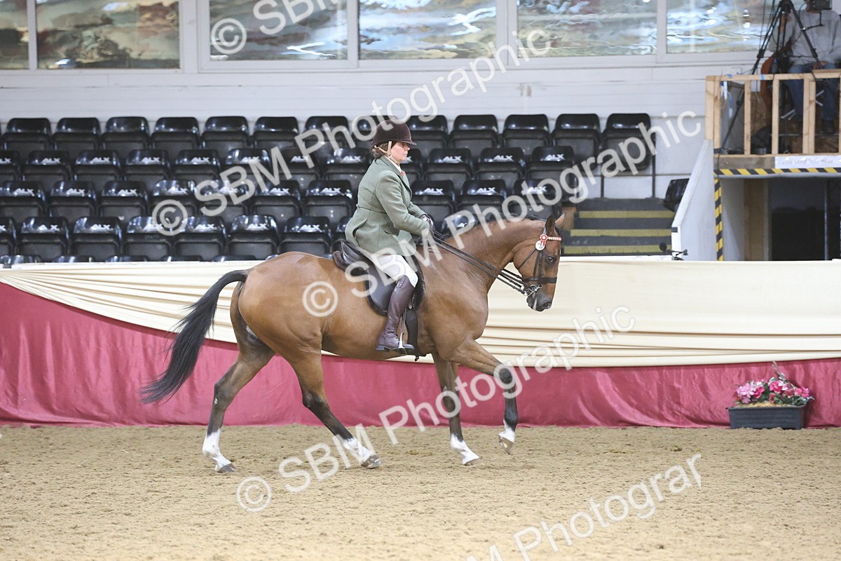 SBM_23811 - class 906 - Supreme Final - Ridden Pre Vet