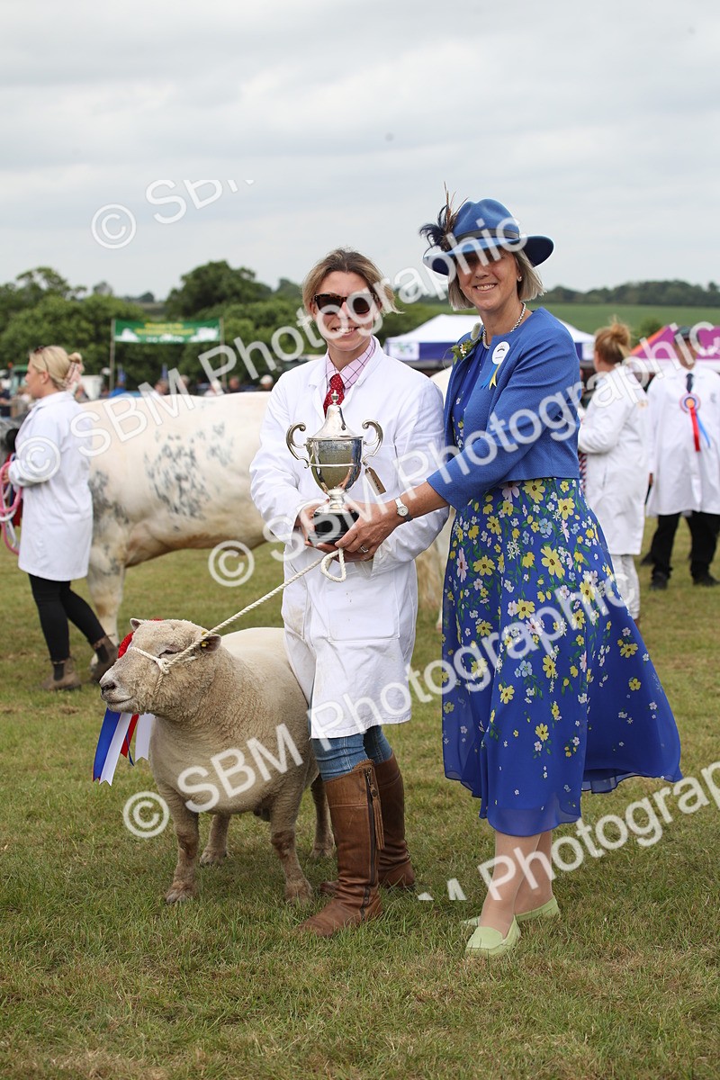 SBM_07886 - Grand Parade