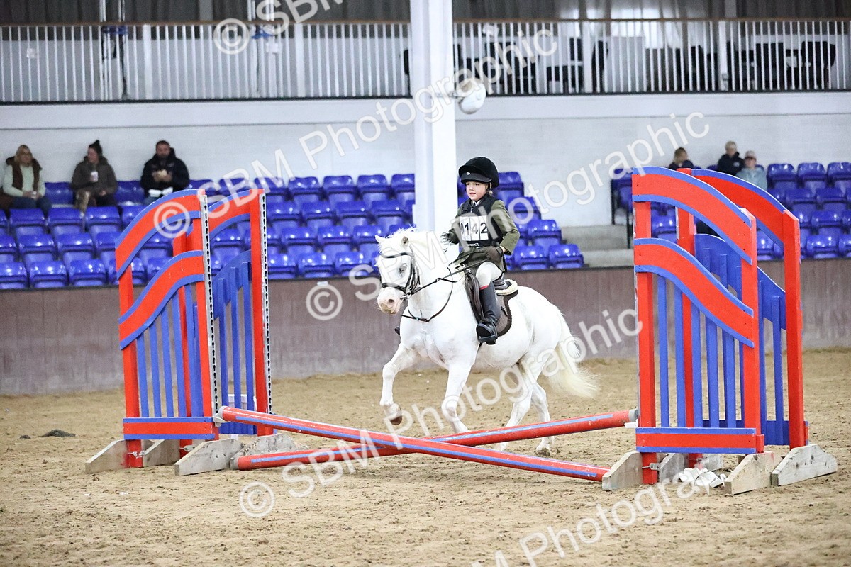 SBM_000015 - Class 1 - Fox Farriers 30cm