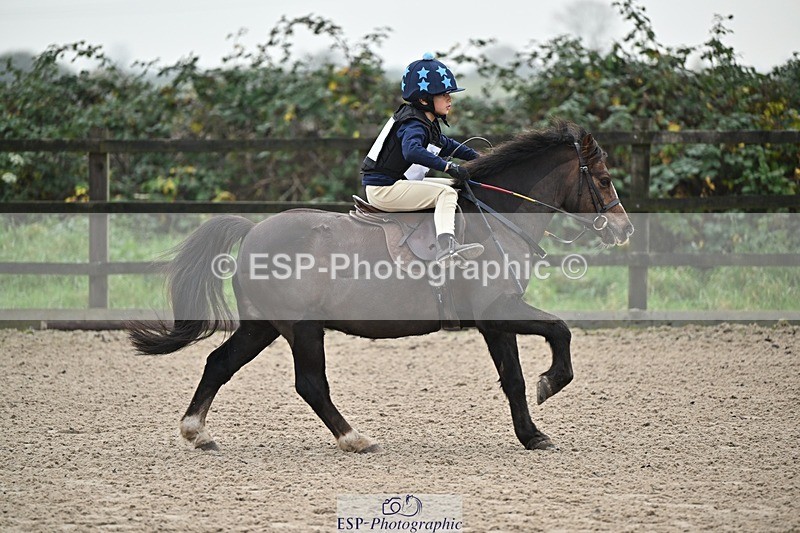 241110-094014-00050 - 40cm Showjumping