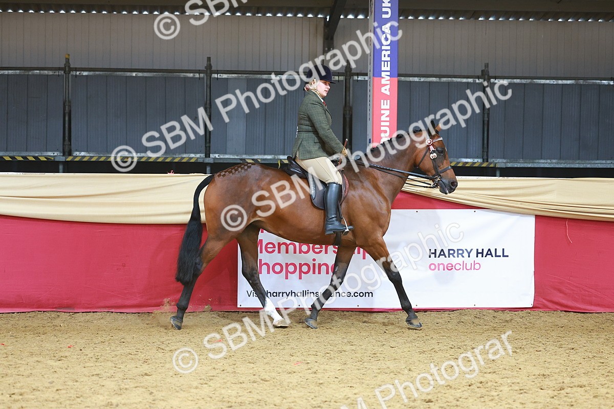 SBM_10528 - Class 103 - HOYS Veteran Qualifier - Ridden Pre Vet